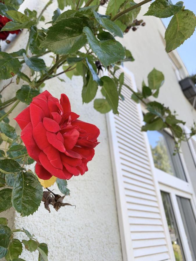 Insel Hus Villa Fehmarn Eksteriør bilde